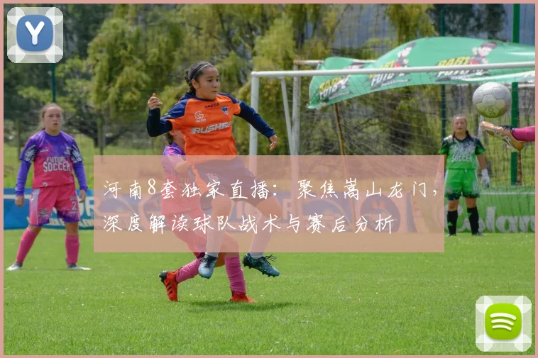 河南8套独家直播：聚焦嵩山龙门，深度解读球队战术与赛后分析