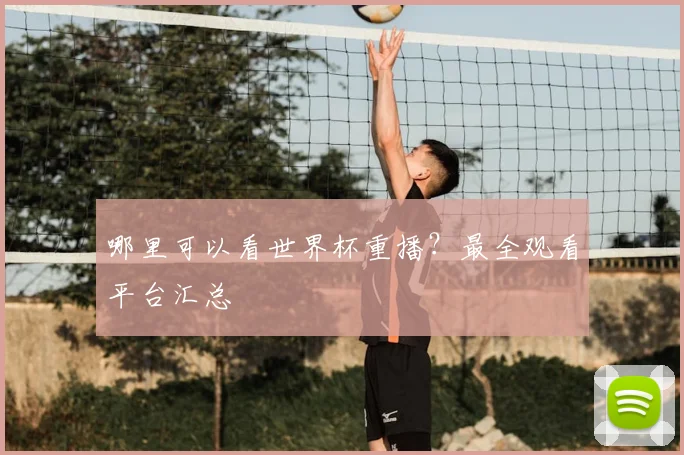 哪里可以看世界杯重播？最全观看平台汇总