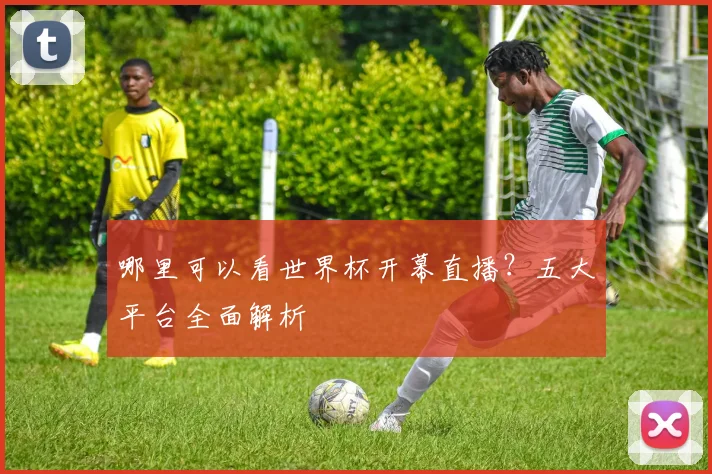 哪里可以看世界杯开幕直播？五大平台全面解析
